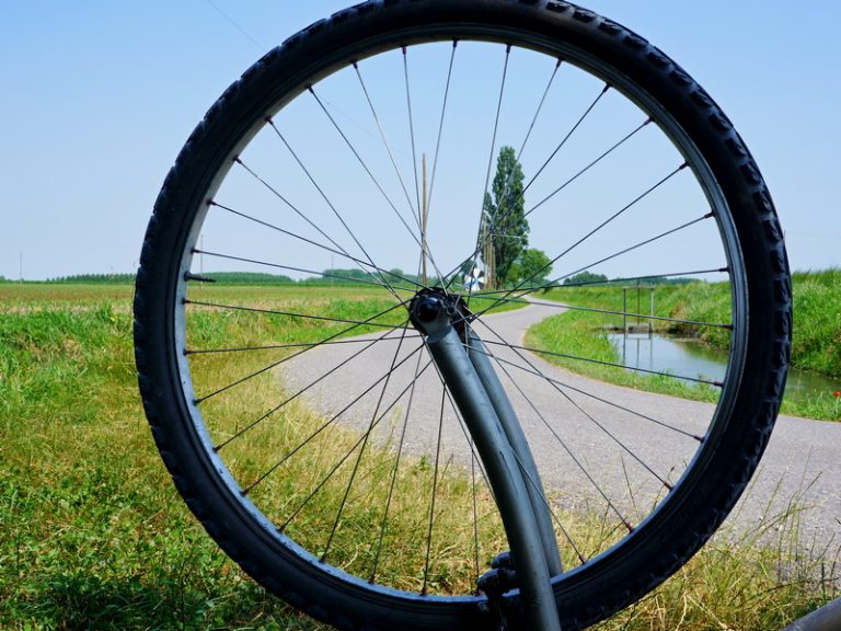 La Corona di Delizie