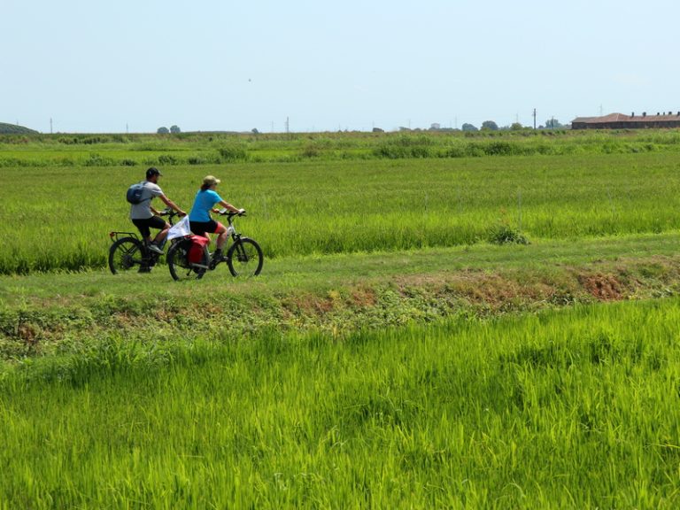 Pista Ciclabile Parma Po