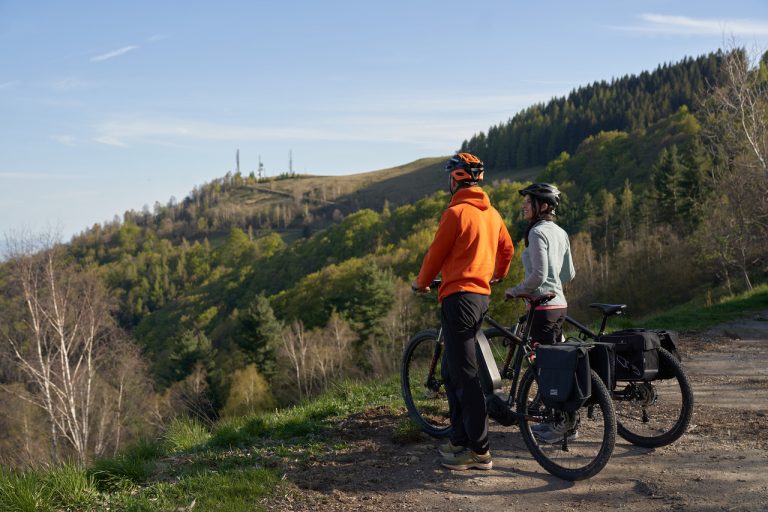 WOOLSCAPE - ANELLO SESSERA