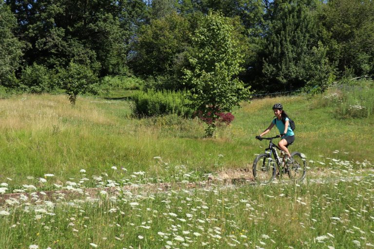 Woolscape - Anello Valle Cervo