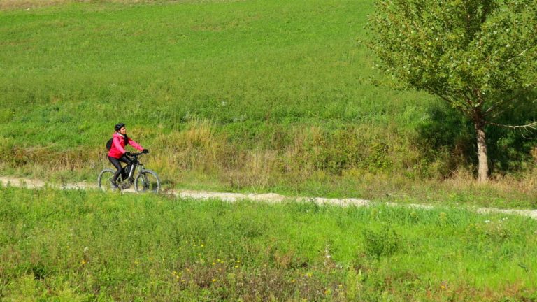 CopertinaArticolo-1024x576