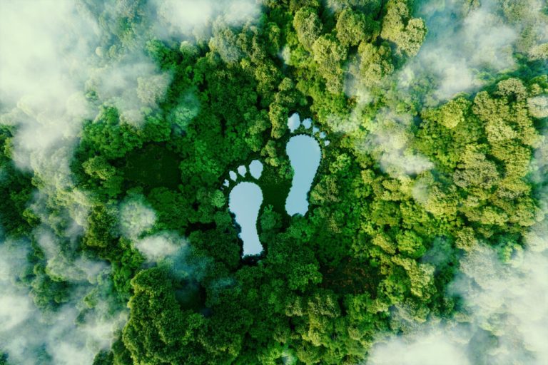 A lake in the shape of human footprints in the middle of a lush forest as a metaphor for the impact of human activity on the landscape and nature in general. 3d rendering
