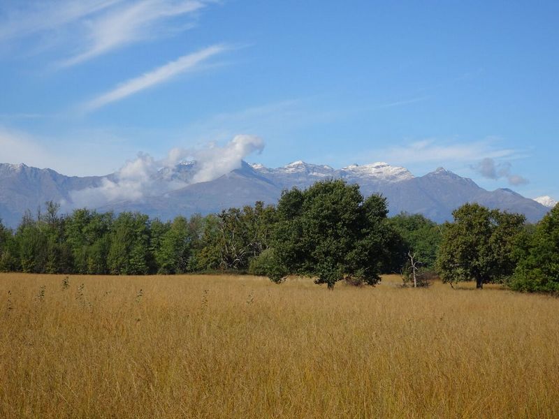 Tra il Riso e la Savana della Baraggia