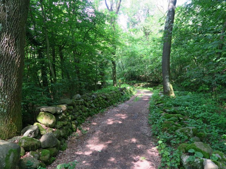 Riserva Naturale della Bessa