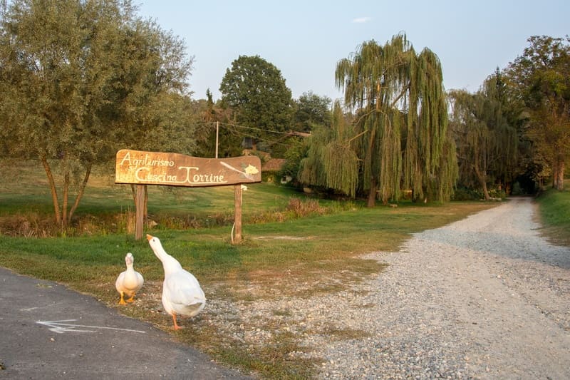 Cascina Torrine