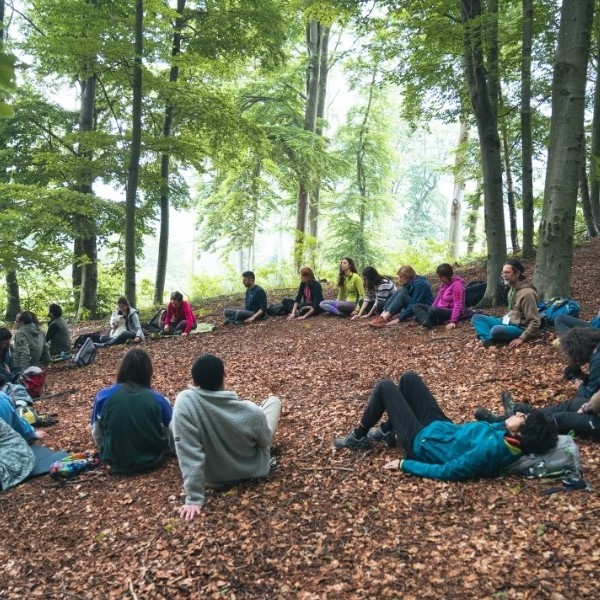 Forest bathing guidato nel bosco