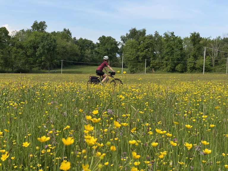 Corso cicloturismo per principianti