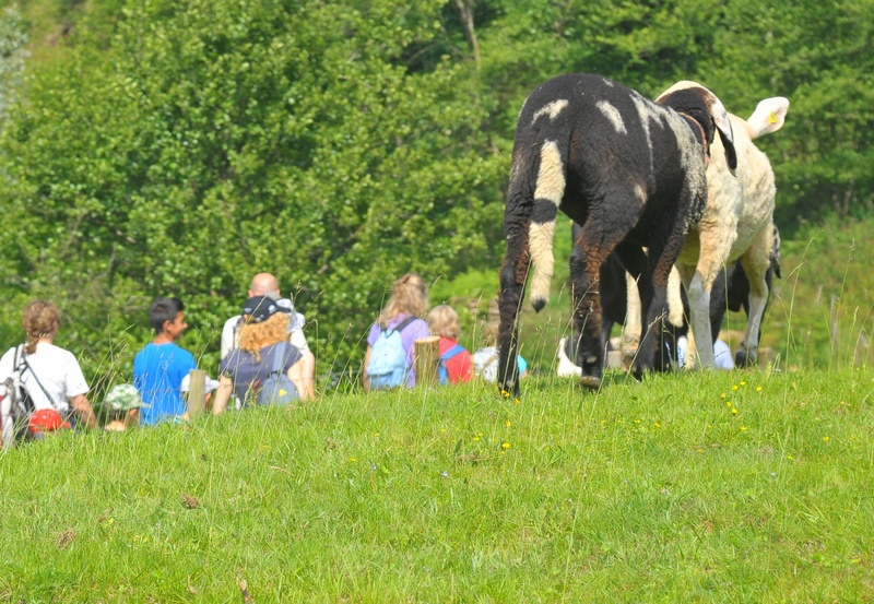 Il Sentiero della Pecora e del Castagno